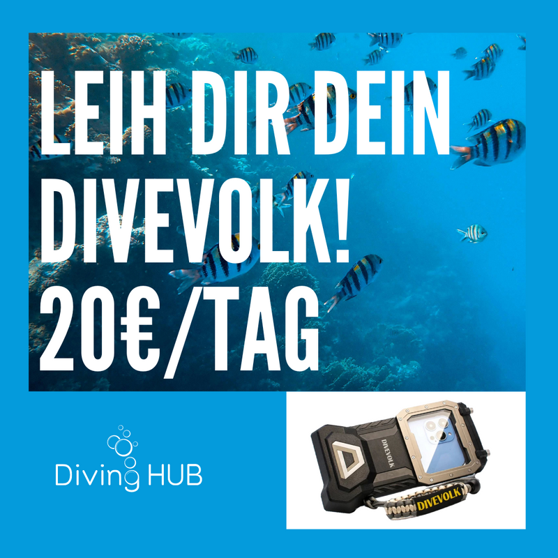 Laden Sie das Bild in Galerie -Viewer, Leih Dir Dein Divevolk! 20€/Tag