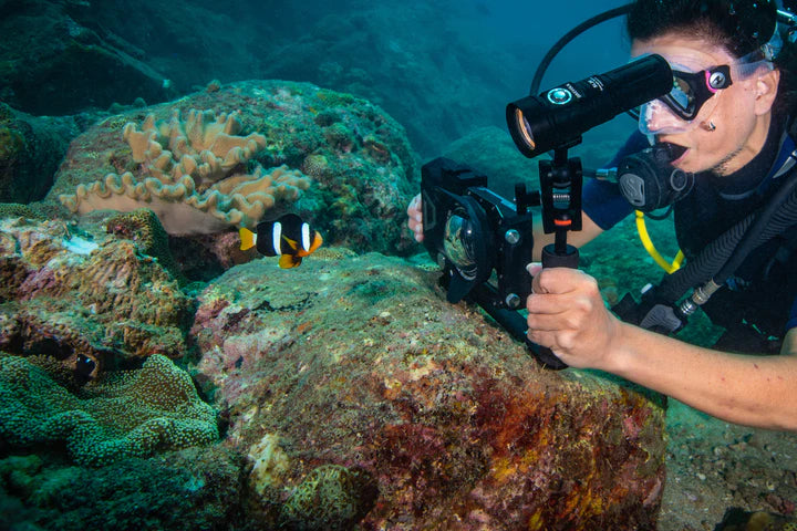 Laden Sie das Bild in Galerie -Viewer, Divevolk - SL20 Video Licht