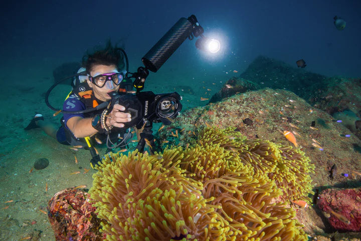 Laden Sie das Bild in Galerie -Viewer, Divevolk - SL50 Video Licht