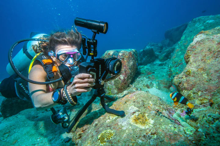 Laden Sie das Bild in Galerie -Viewer, Divevolk - SL20 Video Licht