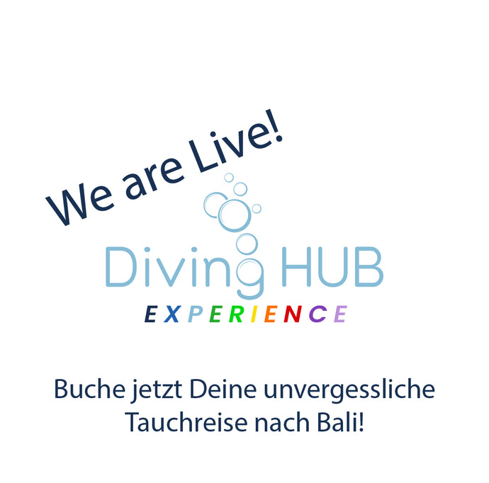 We are Live! Diving HUB Experience