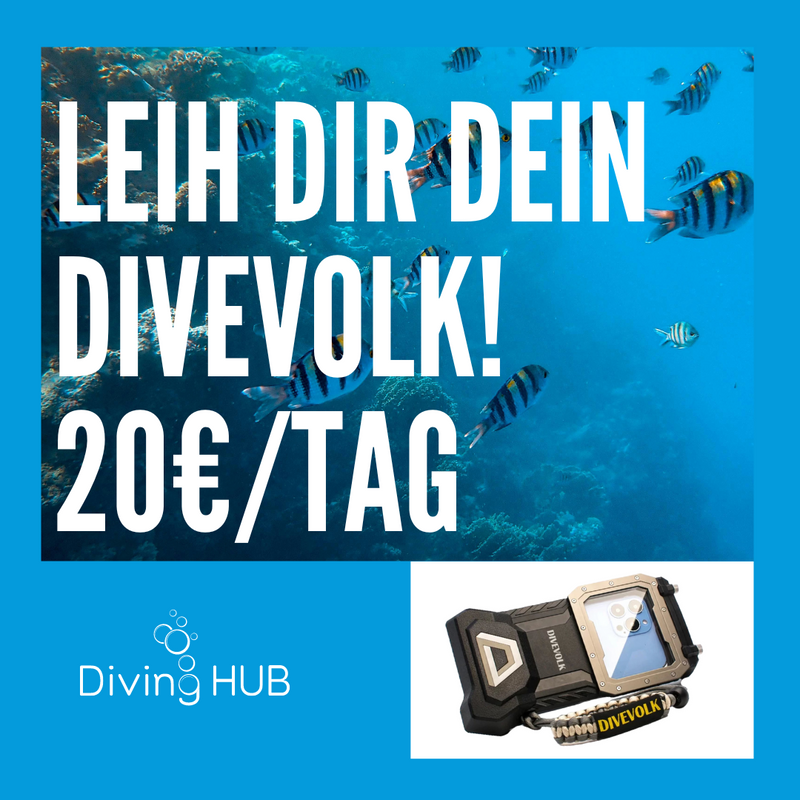 Laden Sie das Bild in Galerie -Viewer, Leih Dir Dein Divevolk! 20€/Tag
