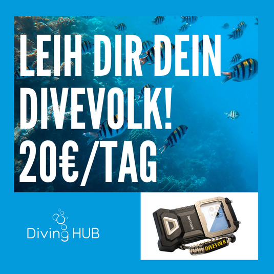 Leih Dir Dein Divevolk! 20€/Tag